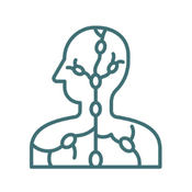Deep meridian lymphatic drainage therapy diagram showing lymphatic flow pathways